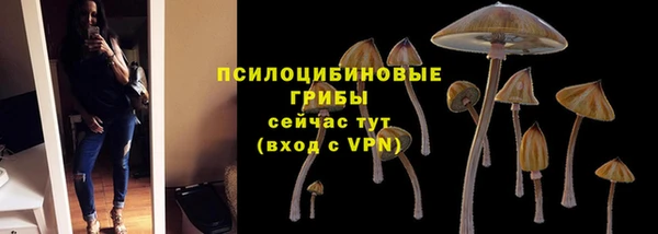 mdpv Надым