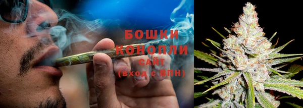 ГАЛЛЮЦИНОГЕННЫЕ ГРИБЫ Навашино