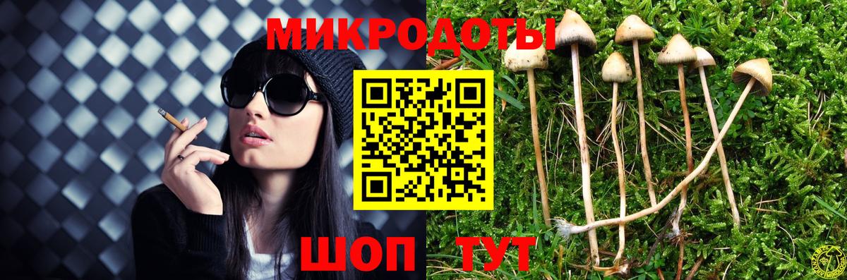 Галлюциногенные грибы мухоморы  Карталы 