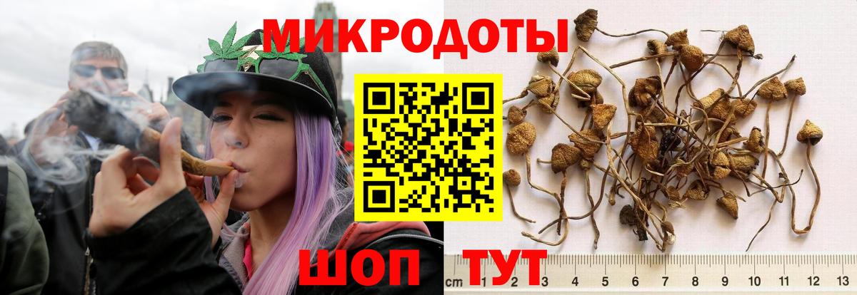 Псилоцибиновые грибы Cubensis  Вход с VPN  Карталы 