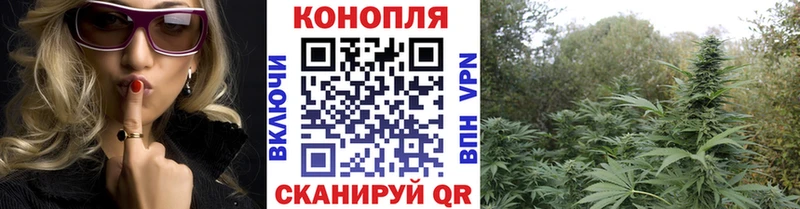 Конопля SATIVA & INDICA Карталы